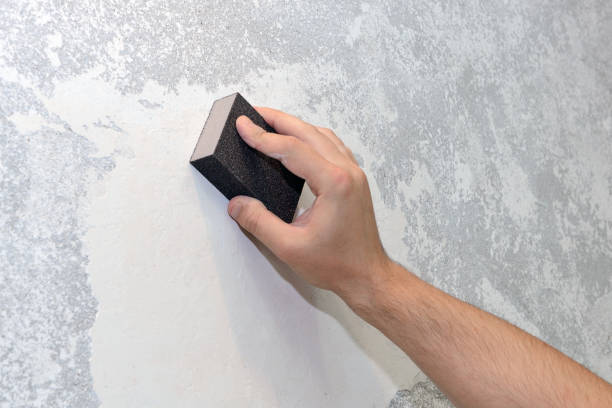 Best Mold Remediation for Vacation Homes  in Ferriday, LA