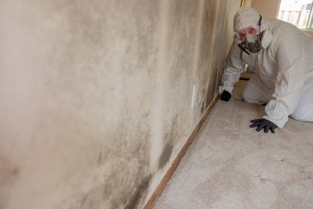 Best Mold Documentation for Insurance Claims  in Ferriday, LA