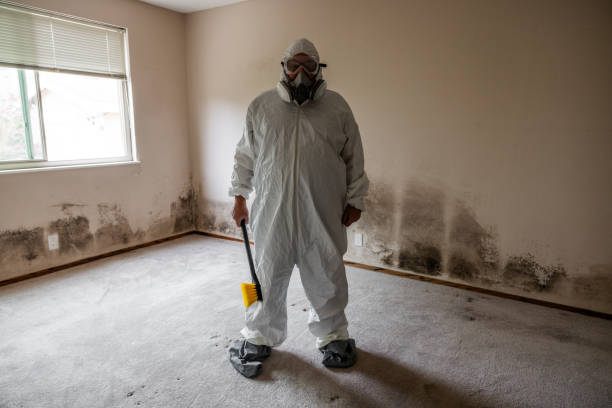 Asbestos and Lead Testing During Mold Inspection in Ferriday, LA