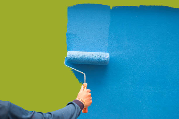Mold Odor Removal Services in Ferriday, LA